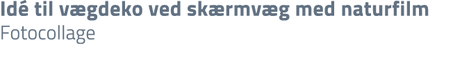 Id til v gdeko ved sk rmv g med naturfilm Fotocollage
